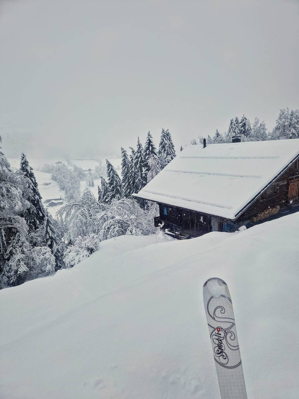 Chalet La Frassonayaz - 4 Bettzimmer Chalet in Val-d'Illiez, Portes du Soleil