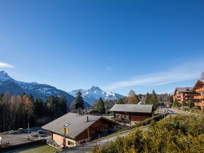 Vakantiewoning voor 4 personen, met Terras in Gryon