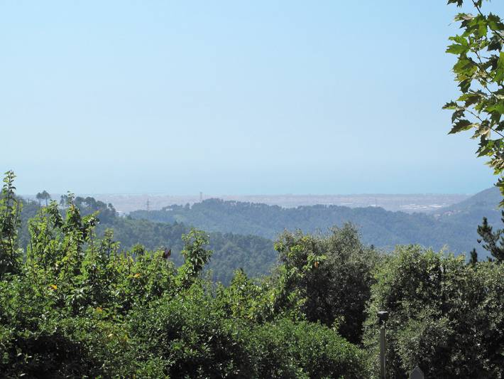 Villetta degli Orti in Camaiore, Italian Riviera