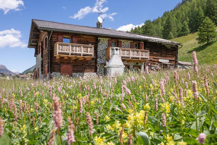 Appartement de vacances pour 7 personnes, avec balcon et jardin, animaux acceptés - 1