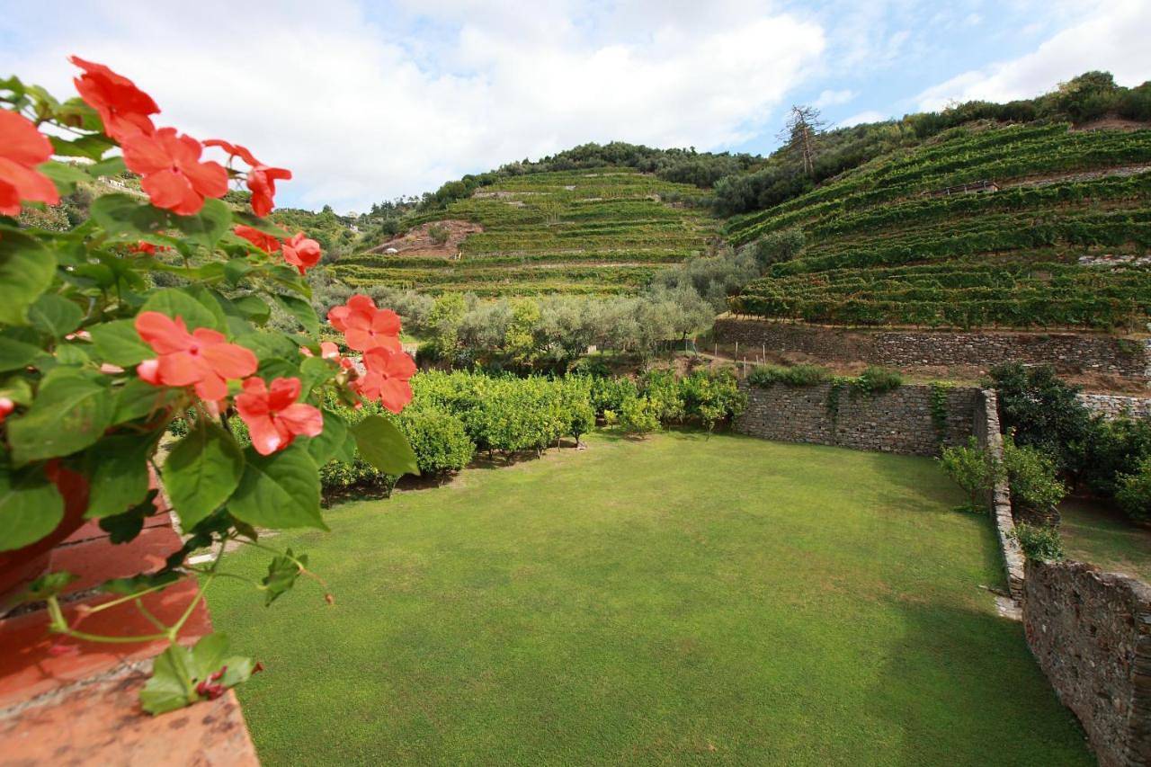 Agriturismo Buranco in Monterosso al Mare, Monterosso al Mare Gemeente