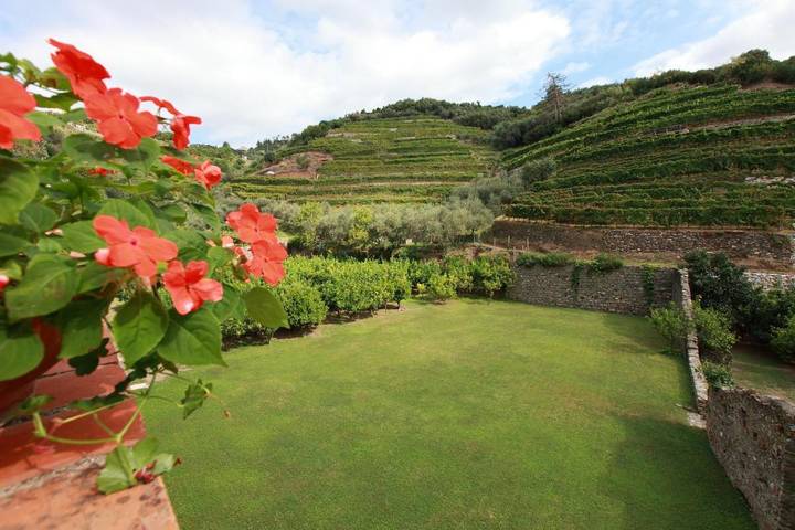 Gîte pour 2 personnes, avec jardin et vue, animaux acceptés dans Monterosso al Mare - 4