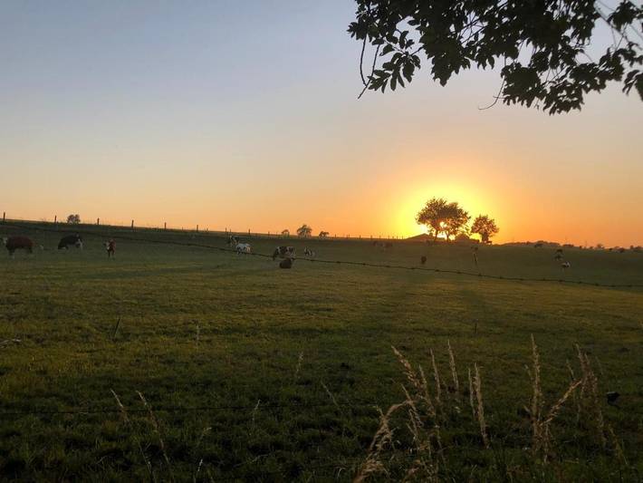 Location de vacances pour 4 personnes, avec sauna ainsi que vue et jardin à Dalhem
