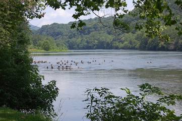 Cottage for 6 Guests in Blue Ridge Mountains, Virginia, Picture 2