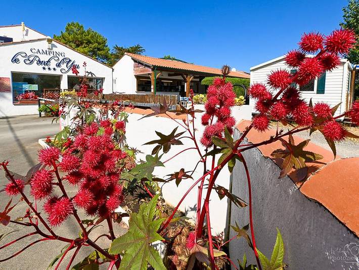 Camping für 2 Personen in Vendée