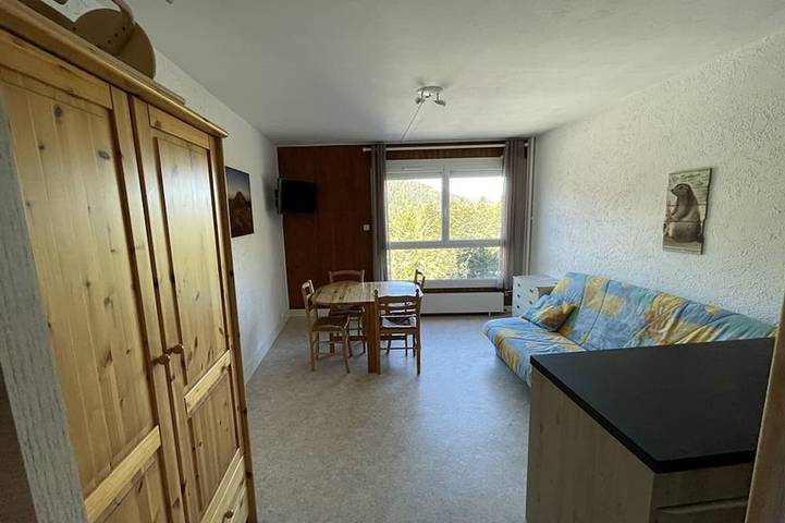 Appartement entier, Studio 4 pers, centre station avec WiFi, accès direct pistes et commerces in Le Lioran, Laveissière