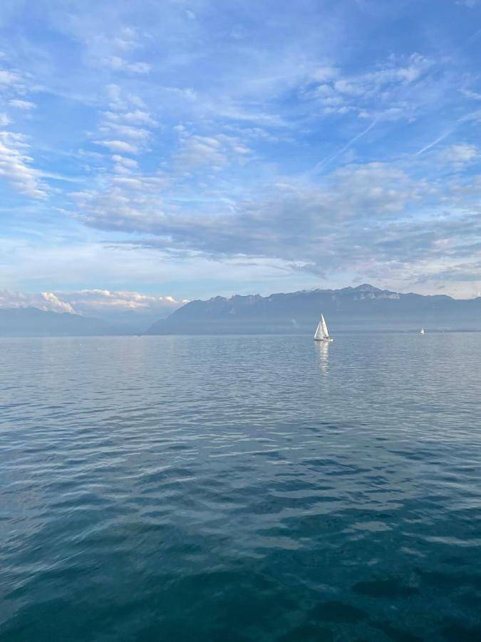 Location de vacances pour 6 personnes, avec vue sur le lac ainsi que jardin et vue, animaux acceptés à Neuvecelle - 2