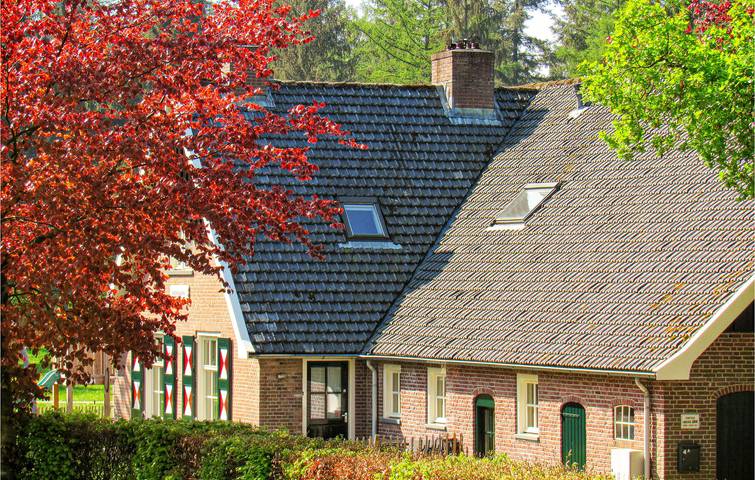 Ferienhaus für 6 Personen, mit Garten und Sauna sowie Terrasse, mit Haustier in Ommen - 4