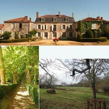 Chambre d’hôte pour 3 personnes, avec jardin, animaux acceptés
