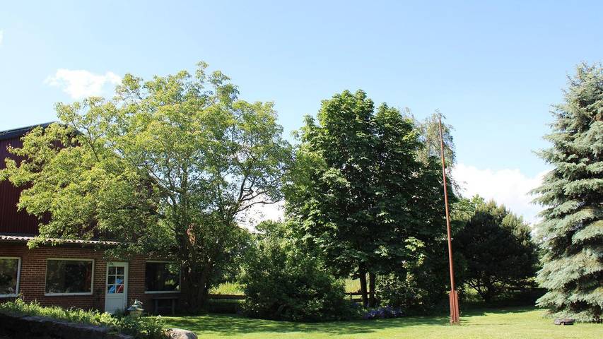 Ferienwohnung für 6 Personen, mit Garten in Langballig - 3