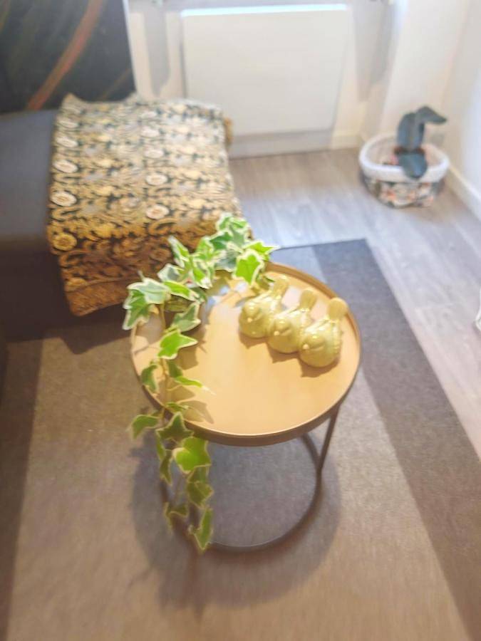 Appartement entier, Bulle tropicale jungle in Clermont-Ferrand, Parc naturel régional des Volcans d'Auvergne