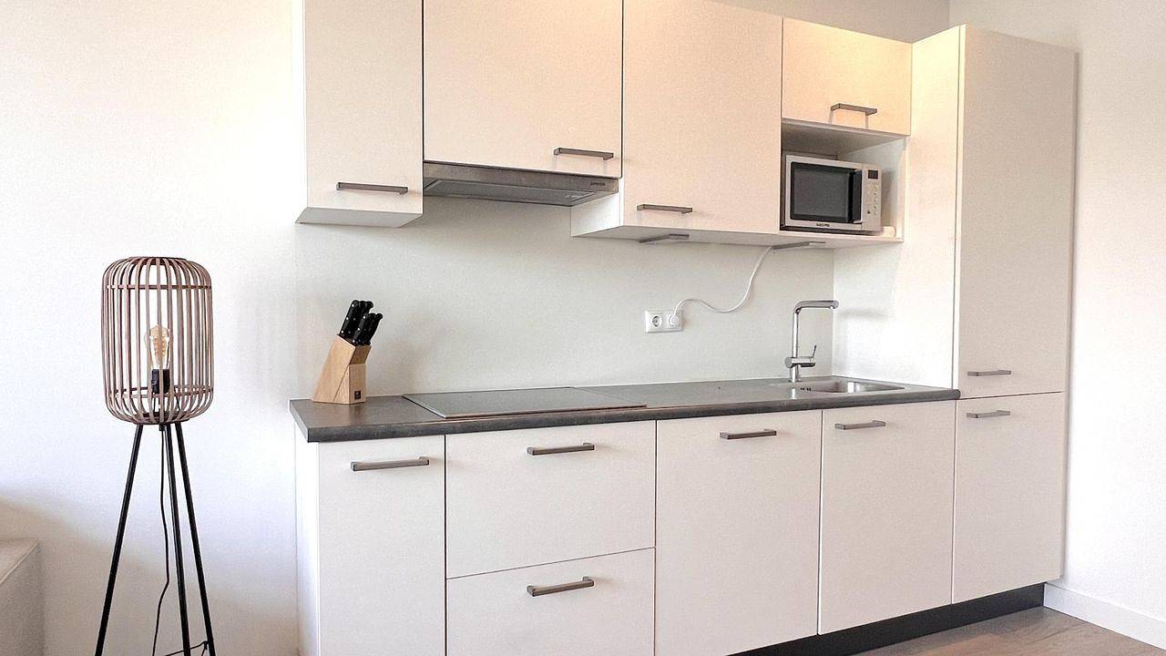 Ganze Ferienwohnung, Ferienwohnung für 2 Personen (38 m²) in Maasbommel in Maasbommel, Betuwe