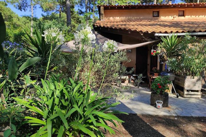 Ferienhaus für 6 Personen, mit Garten und Terrasse in Lacanau Ocean