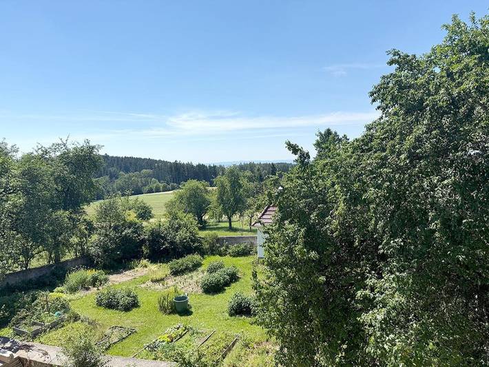 Eidenberger's Herberge - Doppelzimmer, Dusche, Wc, gartenseitig, Og (4) in Linz-Wels