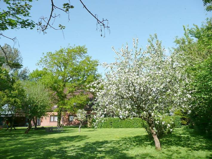 Ferienwohnung in Welt mit Schwimmbecken in Welt, Eiderstedt