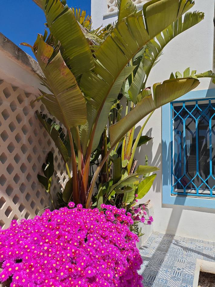Villa Calypso steps from the sea with terrace, Wi-Fi, and air conditioning in Manduria, Gulf of Taranto