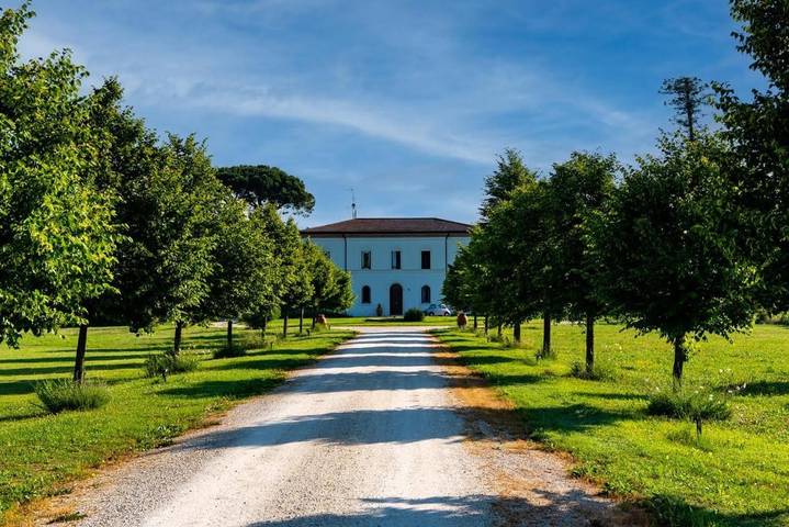 B&b per 2 persone, con Terrazza e Giardino nonché Piscina e Panorama a Faenza