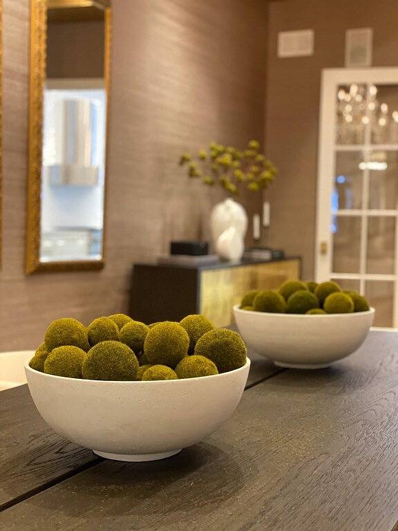 Private, Discreet, Luxury Chicago Gold Coast Mansion, Event-Capable. in Chicago, Cook County