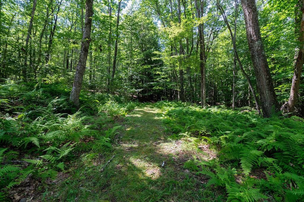 Modern Retreat in Wäldern mit Bachlauf und Wandern in der Nähe von Bethel Woods in Sullivan County