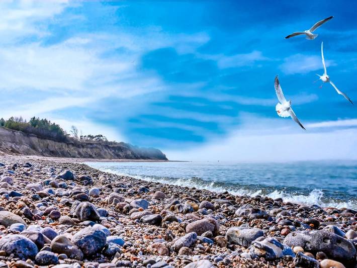 Bungalow für 4 Personen, mit Terrasse, mit Haustier in Bakenberg - 2