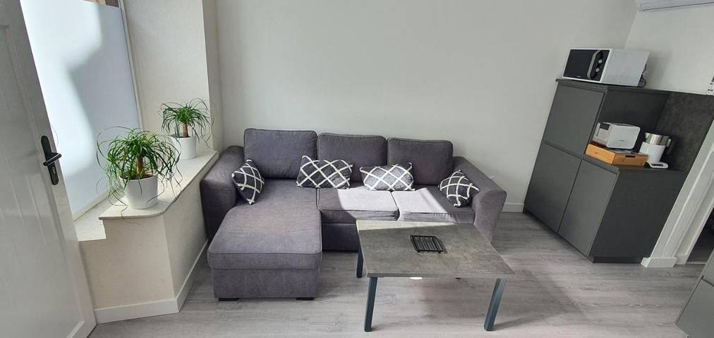 Gîte pour 4 personnes, avec terrasse à Saint-Jean-de-Losne - 2