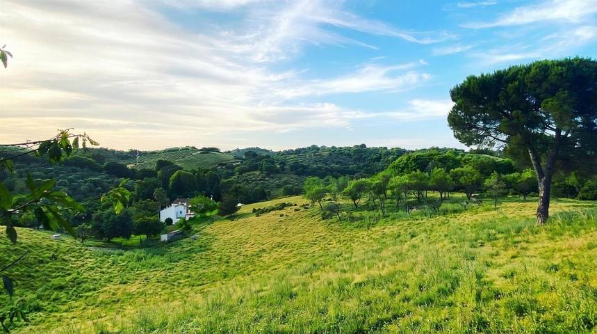 Casa rural para 21 personas, con vistas además de jardín y piscina, Se admiten mascotas en Constantina - 2