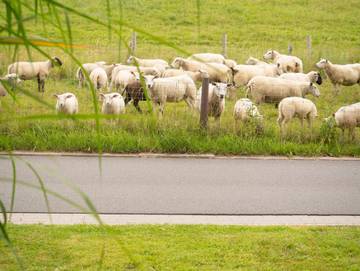 Ferienwohnung für 4 Personen in Butjadingen, Wesermarsch, Bild 3