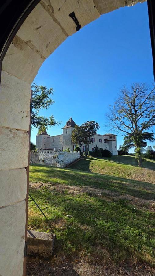 Location de vacances pour 8 personnes, avec Terrasse et Jardin ainsi que Piscine et Vue à Saint-Eutrope-de-Born - 4