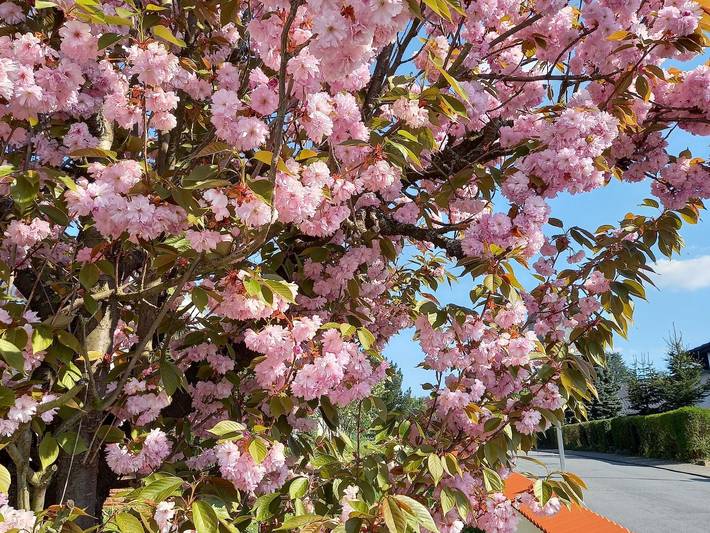 Ferienwohnung für 2 Personen, mit Ausblick in Main-Odenwald - 2