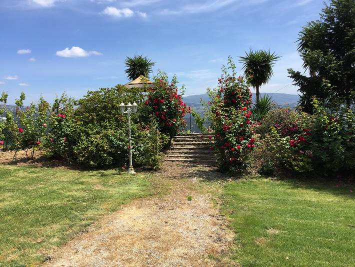 Casa rural para 9 personas, con terraza y piscina, Se admiten mascotas en Penafiel - 3