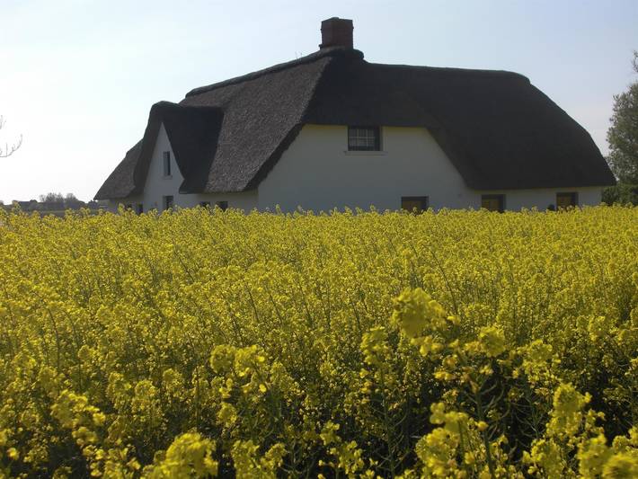 Ferienhaus für 6 Personen, mit Terrasse und Garten sowie Ausblick in Vollerwiek - 3