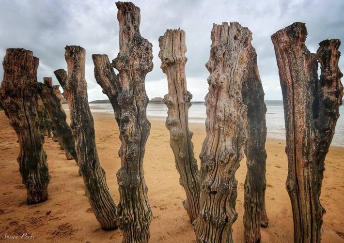 Hôtel pour 2 personnes, avec jardin dans Thermes Marins de Saint-Malo