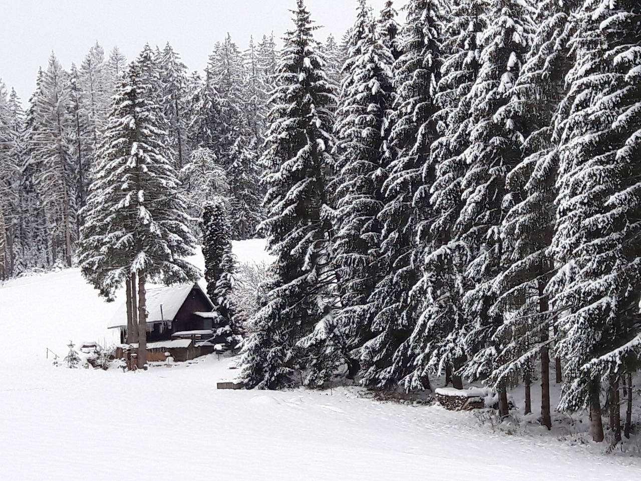 Mühle am Wolfsgrund - Mühle am Wolfsgrund in Unterkirnach, Mittlerer Schwarzwald