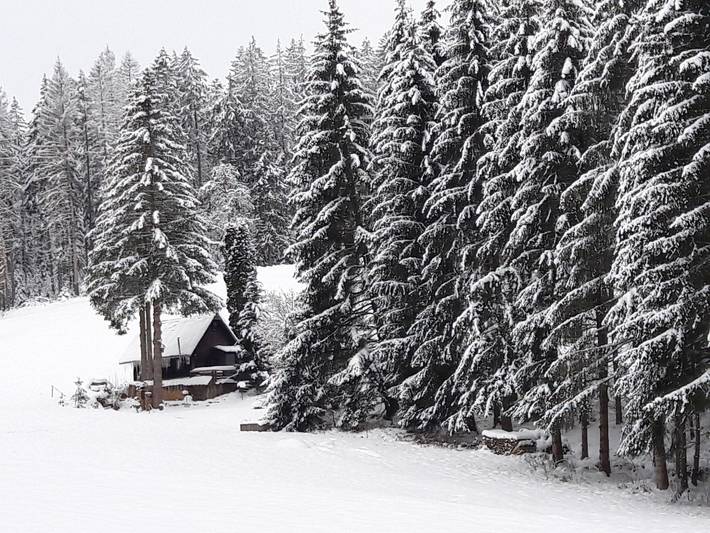 Ferienhaus für 4 Personen, mit Balkon in Mittlerer Schwarzwald - 2