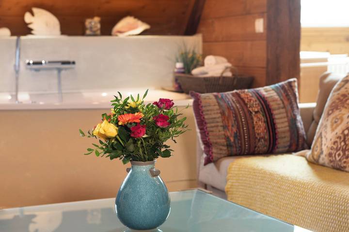 Gîte pour 4 personnes, avec vue sur le lac et sauna, animaux acceptés à Immenstaad am Bodensee - 3
