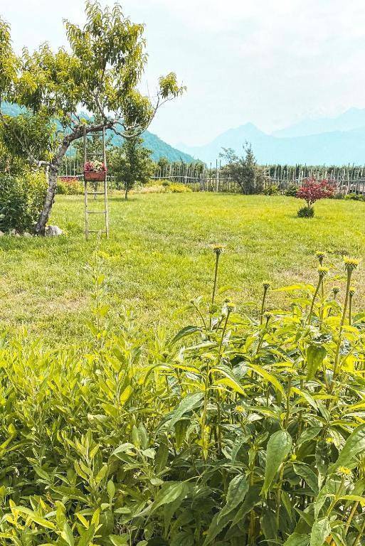 Agriturismo Dal Perotin in Caldonazzo, Lago di Caldonazzo