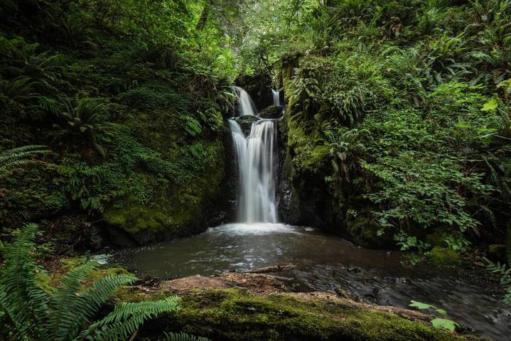 Alojamiento y desayuno para 8 personas, con sauna además de jardín y vistas - 1