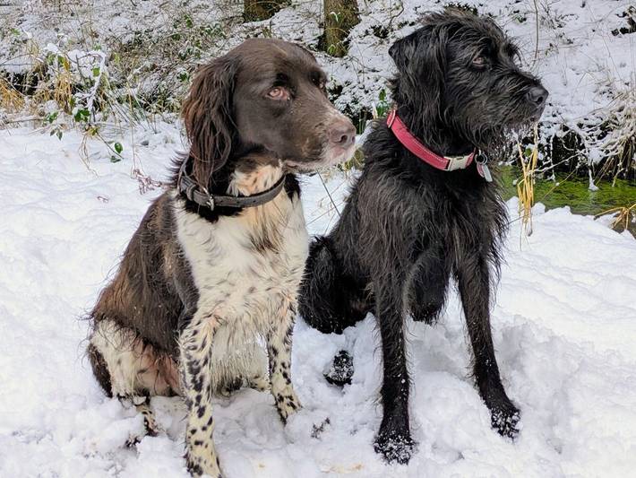Bauernhof für 3 Personen, mit Garten, kinderfreundlich in Ostfriesland - 4