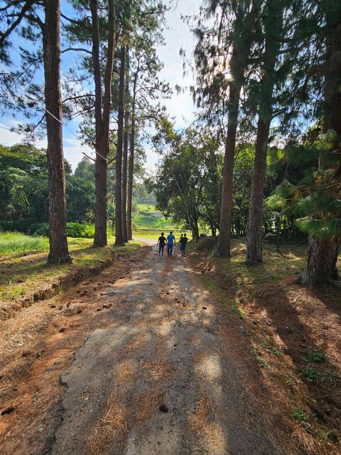 Casas e apartamentos de temporada para 2 pessoas, com jardim e balcão em São Roque