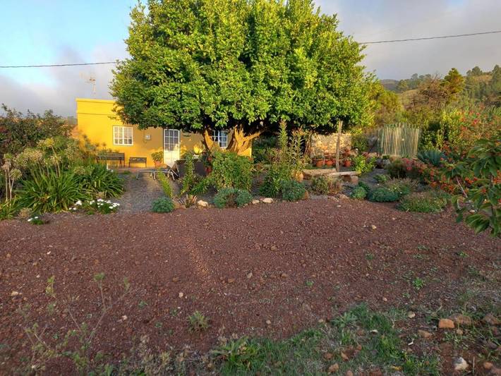 Casa rural para 4 personas, con vistas y jardín en Garafía - 3