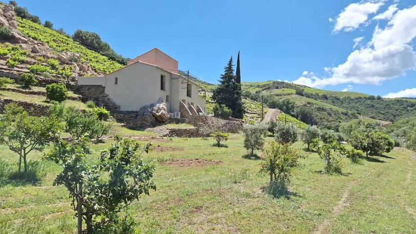 Gîte pour 6 personnes, avec Terrasse et Jardin à Collioure