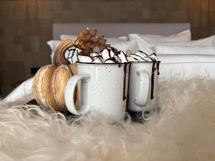 Chambre d’hôte pour 2 personnes, avec jardin à Renesse - 3