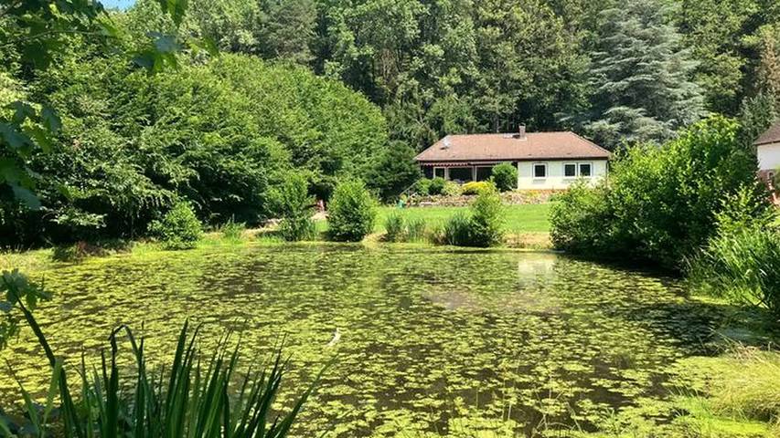 Ferienhaus für 6 Personen, mit Garten in Main-Odenwald - 4