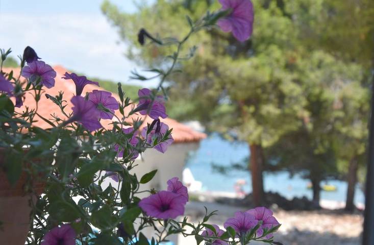 Camping pour 4 personnes, avec jardin et vue à Tisno - 2