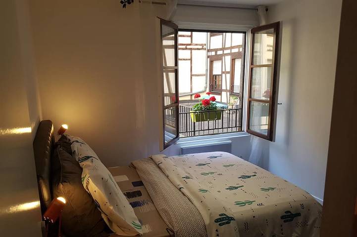 Ganze Wohnung, L'Eurosebastopol - Kreuzung Wohnung in Straßburg, Region Straßburg