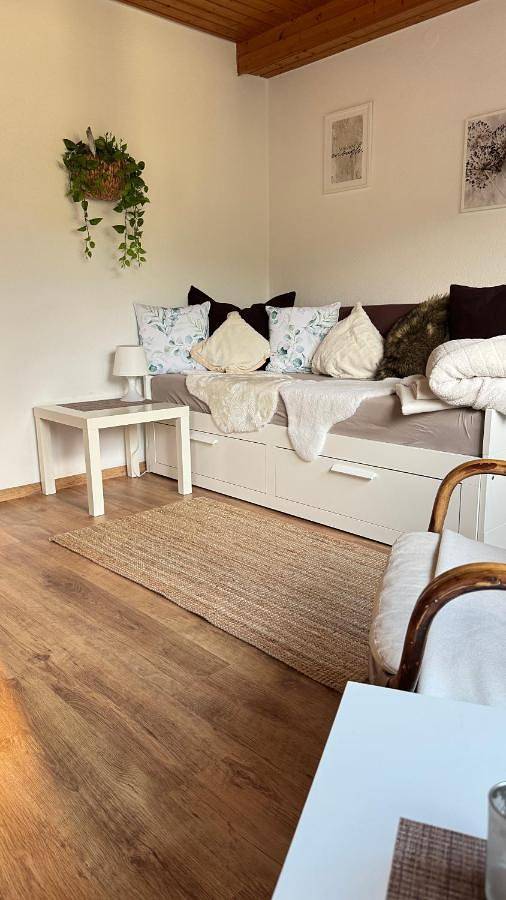 Ferienwohnung für 4 Personen, mit Terrasse und Garten sowie Sauna und Ausblick in Bad Kissingen - 3