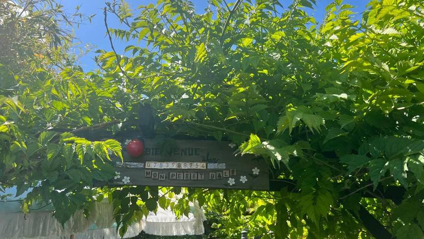 Chambre d’hôte pour 2 personnes à Maussane-les-Alpilles - 4