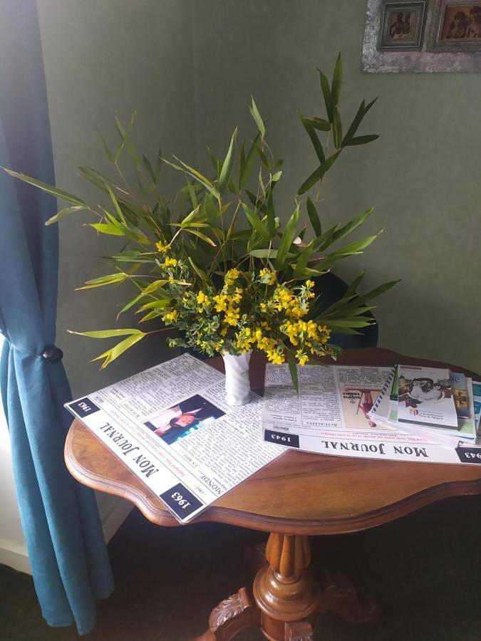 Chambre d hôte de la paix in La Rochefoucauld-en-Angoumois, Charente