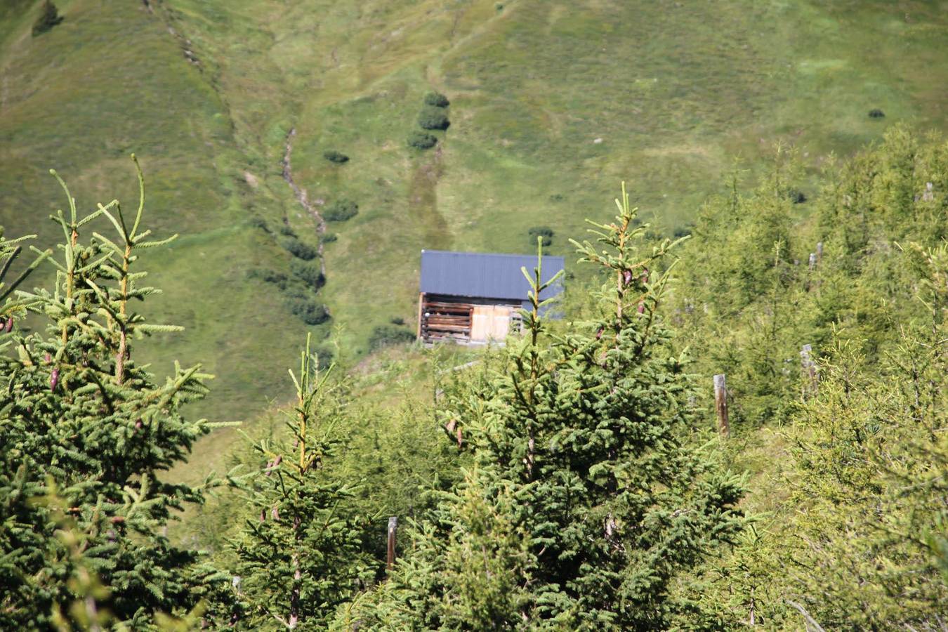 Ganze Ferienwohnung, Rösslehof in Mathon, Verwall