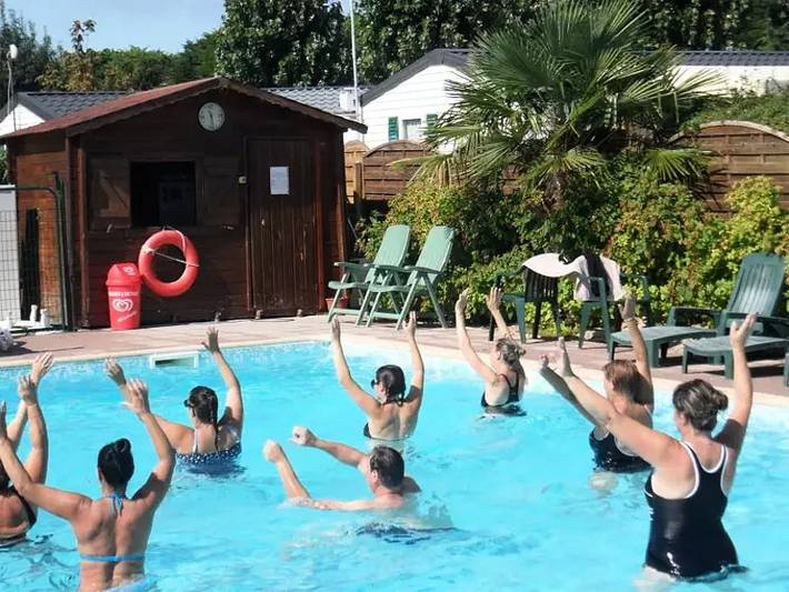 Mobil home pour 4 personnes, avec terrasse, animaux acceptés à Ambon - 4